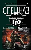 Идеальный силовик: роман
