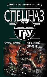 Идеальный силовик: роман