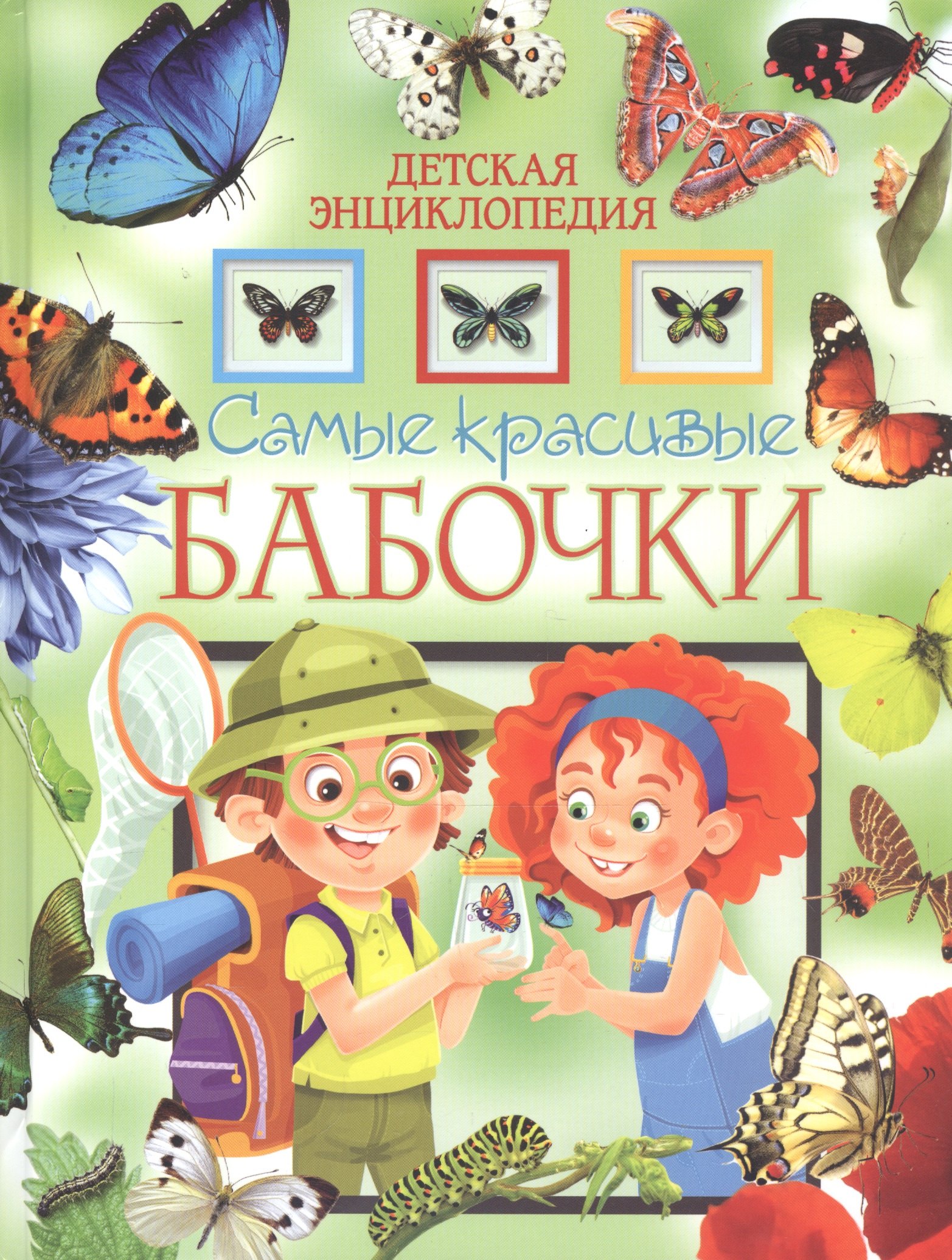 

Самые красивые бабочки. Детская энциклопедия