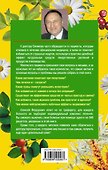 Целительные письма.840 + 1 рецепт улучшения здоровья - 1