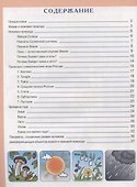 Окружающий мир: Неживая природа - 1