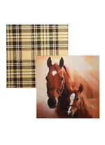 Набор салфеток для декупажа Лошадь с жеребенком (13307350/13308791) (2шт) (упаковка) (Froggy Art)