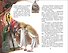 Синяя птица - 2