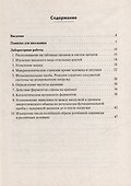 Биология. Лабораторный практикум. Раздел "Человек": учебно-методическое пособие - 1