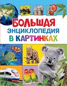 Большая энциклопедия в картинках - 0