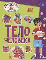 Тело человека