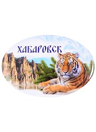 ГС Магнит-открывашка Хабаровск (1458922)