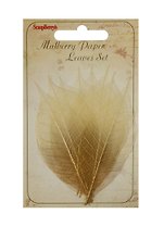 Скелетированные листочки из каучук. дерева медно-коричн. (SCB300506) (набор/8шт.) (упаковка)