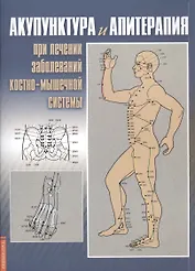 Акупунктура и апитерапия при лечении заболеваний костно-мышечной системы. Практическое руководство