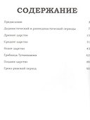 Великие музеи мира. Том 4. Египетский музей - 1