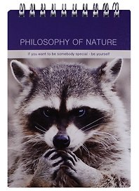 Блокнот А6 100 листов клетка "Raccoon"
