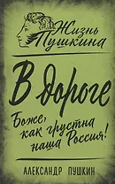 В дороге. Боже, как грустна наша Россия!