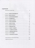Железный пояс - 1