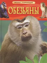 Обезьяны