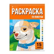 Раскраска «15 картин по номерам. Мемы»