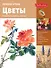 Лучшие уроки. Цветы - 0
