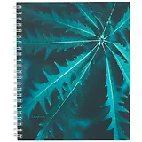 Тетрадь в клетку Listoff, "Изумрудные оттенки", 96 листов, в ассортименте