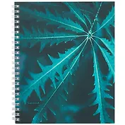 Тетрадь в клетку Listoff, "Изумрудные оттенки", 96 листов, в ассортименте