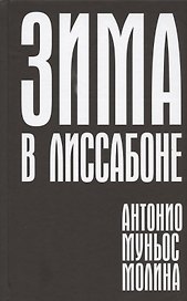 Зима в Лиссабоне