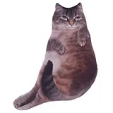 Мягкая игрушка-антистресс Кот Симба, коллекция "Забавные питомцы"