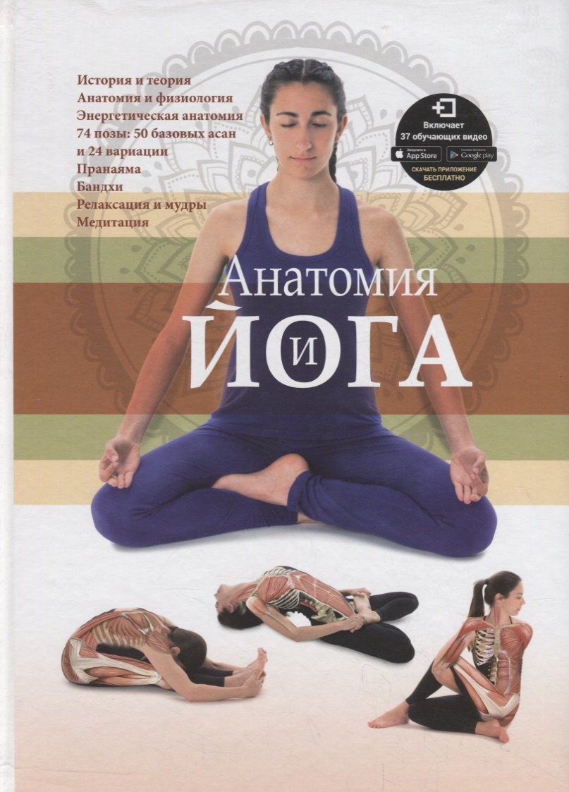 

Анатомия и йога