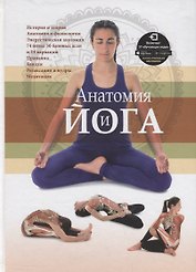 Анатомия и йога