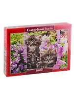 Пазл Котята в саду Castorland 1000 элементов C-104086