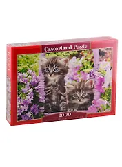 Пазл Котята в саду Castorland 1000 элементов C-104086