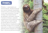 Обучающая книга «Животные-рекордсмены» - 2