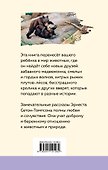 Медвежонок Джонни. Лесные истории - 1