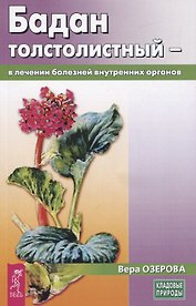 Бадан толстолистный - в лечении болезней внутренних органов