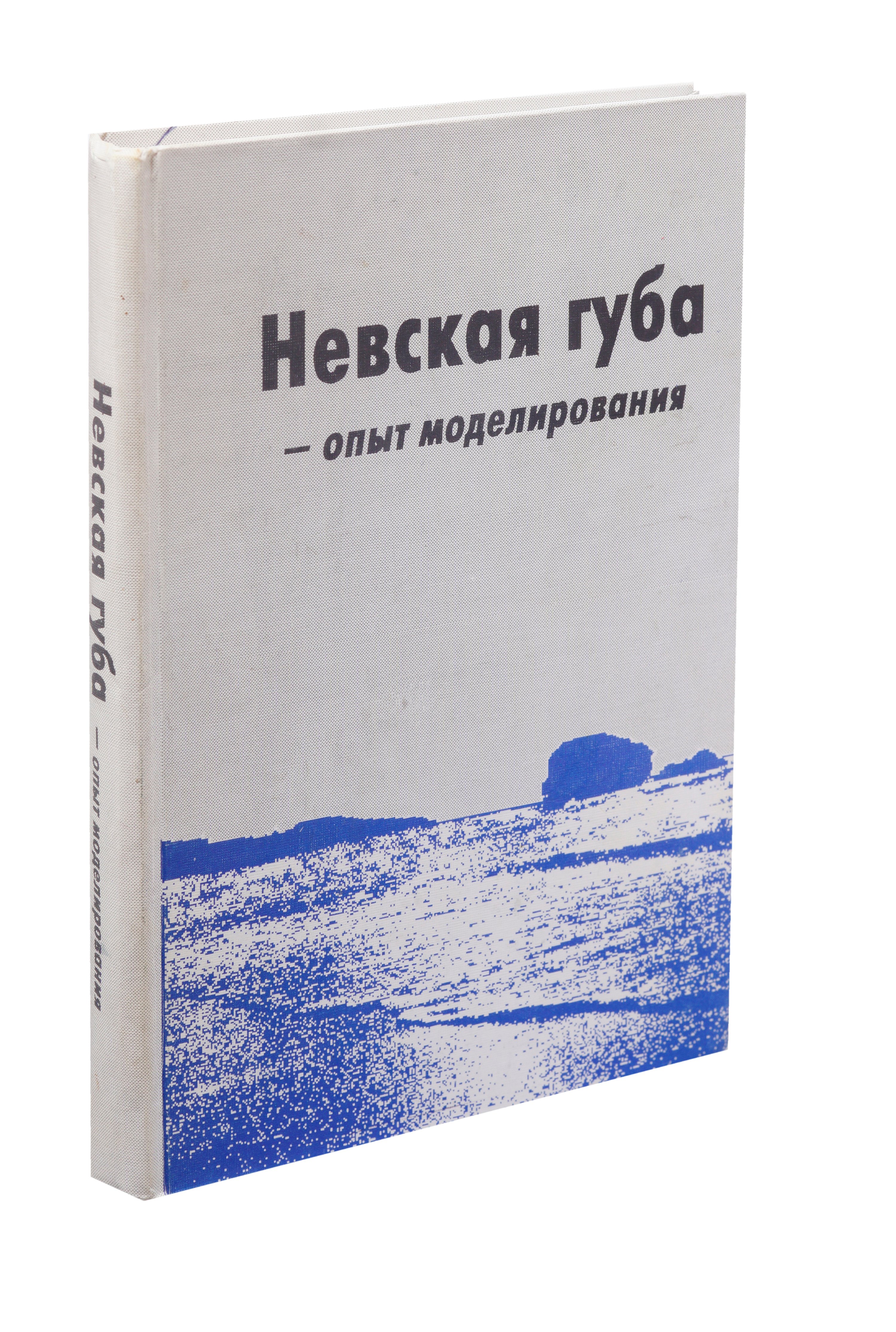 

Невская губа - опыт моделирования