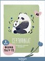 Сертификат о профилактических прививках «Baby. Панды» №156/у-93, 105х140 мм, 16 страниц, картонная обложка, Be Smart