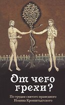 От чего грехи? Опыт борьбы со страстями