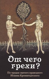 От чего грехи? Опыт борьбы со страстями