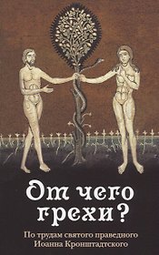 От чего грехи? Опыт борьбы со страстями