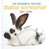 Моя первая книга: Домашние животные (на армянском языке)