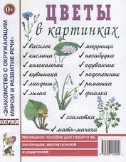 Цветы в картинках. Наглядное пособие для педагогов, логопедов, воспитателей и родителей