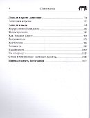 Как думает моя лошадь? Научитесь читать мысли лошади и понимать ее. - 2