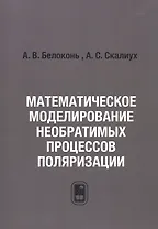 Математическое моделирование необратимых процессов поляризации