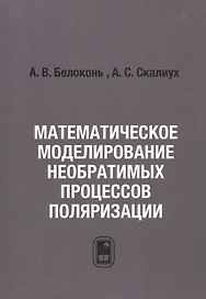 Математическое моделирование необратимых процессов поляризации