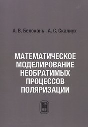 Математическое моделирование необратимых процессов поляризации
