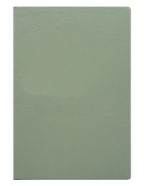 Книга для записей А5 80л кл. "Inspiration series" серо-зелен., PU, Yoi