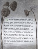 Лягушка-путешественница - 1