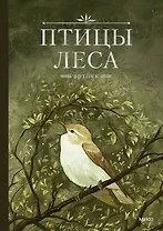 Птицы леса. Артбук