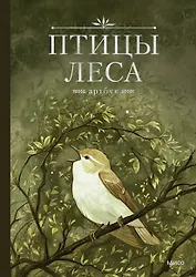 Птицы леса. Артбук