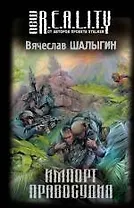 Импорт правосудия