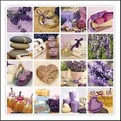 Салфетки Maki бум. сервиров. Прованс (SLОG023901) (33х33) (20шт) (3сл)