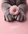 Тетрадь общая «Cat & Flowers», 96 листов в клетку, А5, в ассортименте - Listoff - 1