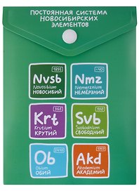 Папка -конверт «Гаас. Постоянная система новосибирских элементов» А6 на кнопке, вертикальная